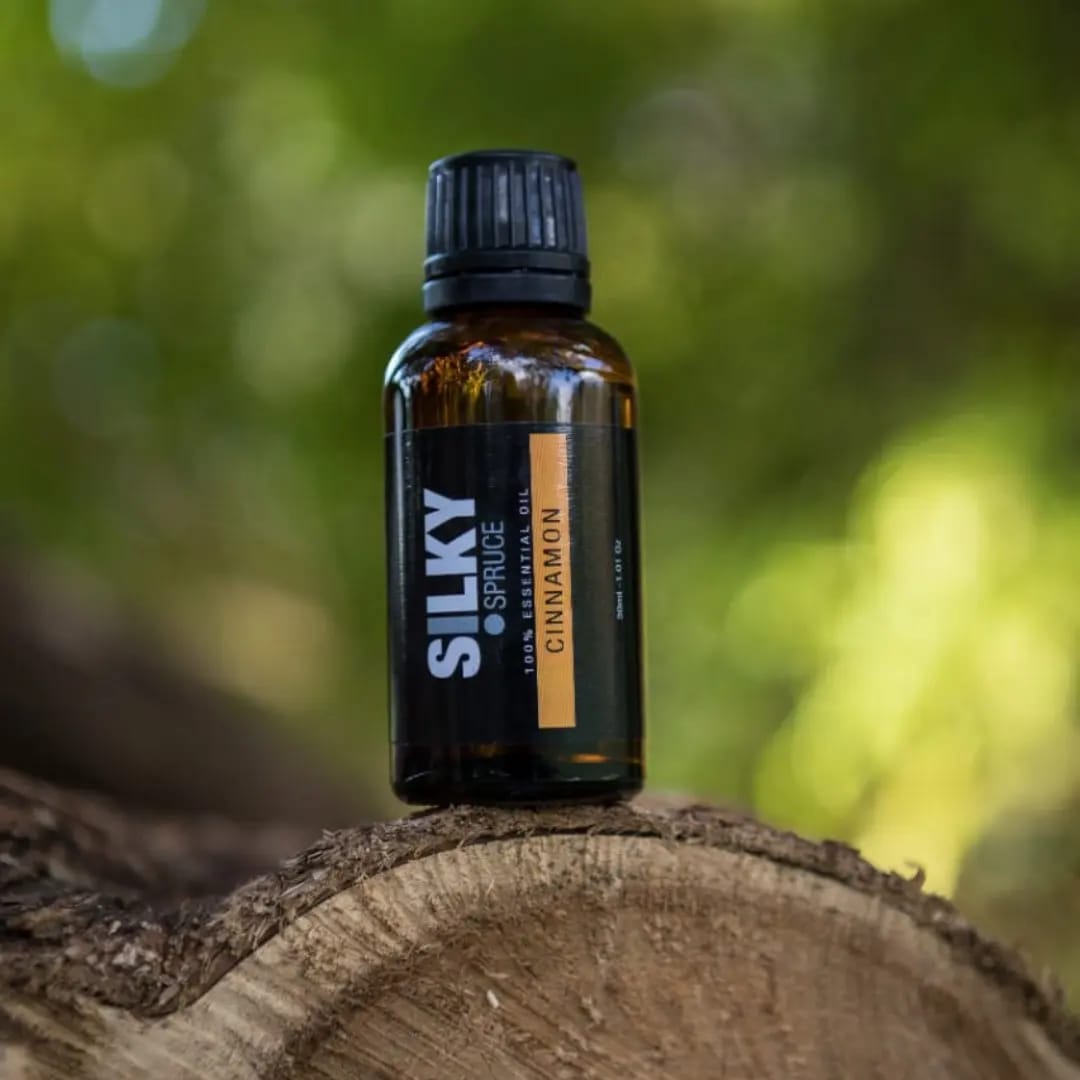 Silky Spruce Essential Oil – Cinnamon