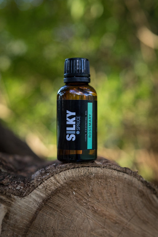 Silky Spruce Essential Oil – Rosemary