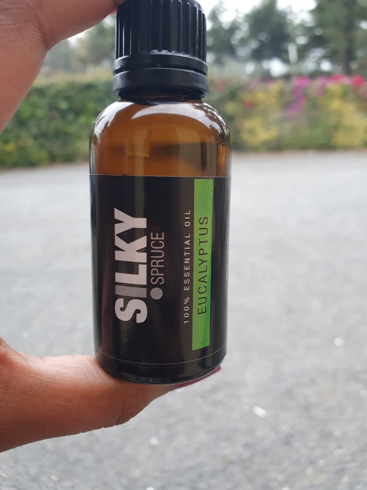 Silky Spruce Essential Oil – Eucalyptus